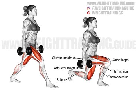 1-1 2 rep bulgarian split squats